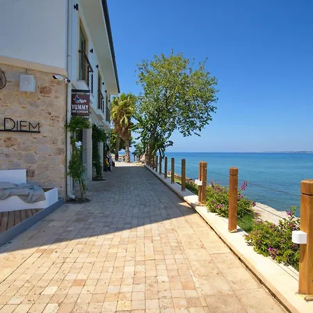 Отель Carpe Diem Boutique - Adults Only *