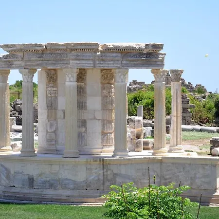 Carpe Diem Boutique - Adults Only * Side